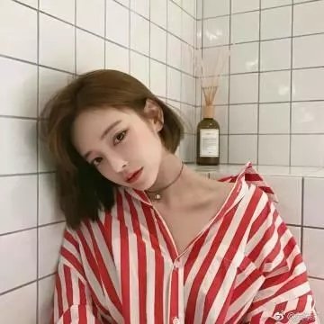 志愿军：浴血和平
